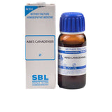 SBL Homeopathy Abies Canadensis Mother Tincture Q image 1