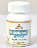 Baps Amrut Gokshuradi Guggal - 90 tabs image 1