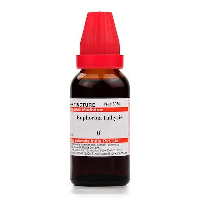 Dr. Willmar Schwabe India Euphorbia Lathyris Mother Tincture Q image 1