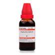 Dr. Willmar Schwabe India Euphorbia Lathyris Mother Tincture Q image 1