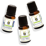 Anveya Set of Top 3 Essential Oils image 1
