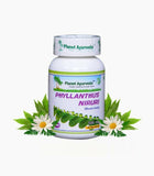 Planet Ayurveda Phyllanthus Niruri Capsules - 60 tabs image 2