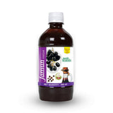 Basic Ayurveda Jamun Vinegar - 450 ml image 4