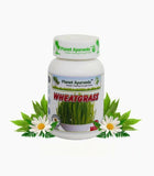 Planet Ayurveda Wheatgrass Capsules - 60 tabs image 2