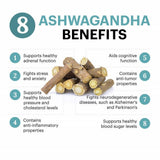 Dhootapapeshwar Ashvagandha - 60 tabs image 5