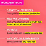 Dot & Key Barrier Repair Ceramide & Peptide SPF 50+, PA+++ Lip Balm - Red Romance -10 gm image 3