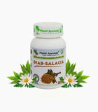 Planet Ayurveda Diab-Salacia Capsules - 60 tabs image 2