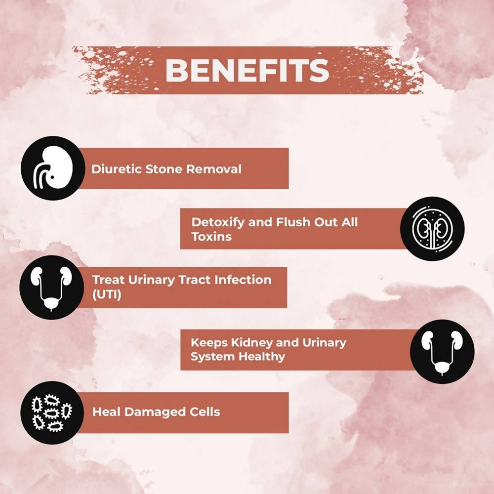 Ae Naturals Kidney Care Capsules image 3