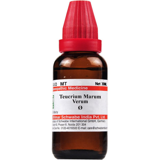 Dr. Willmar Schwabe India Teucrium Marum Verum Mother Tincture Q image 1