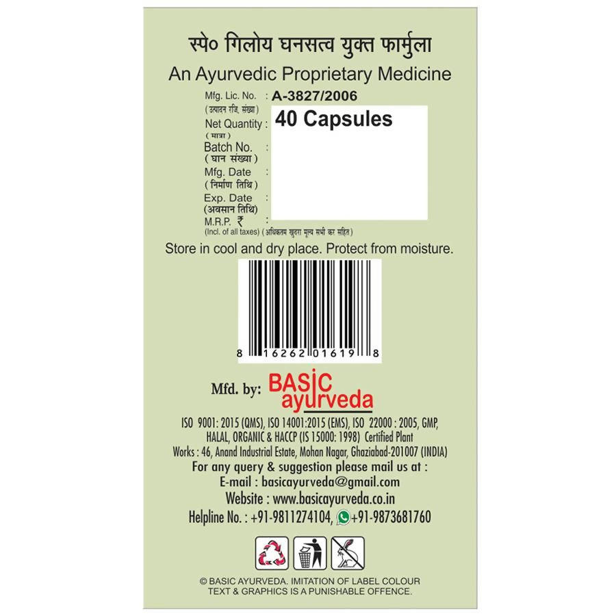 Basic Ayurveda Giloy Power Capsules - 40 Tablets image 3