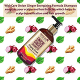 Wishcare Onion Ginger Shampoo -300 ml image 4