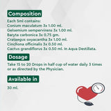 Allen Homeopathy A40 L.B.P Drops image 3