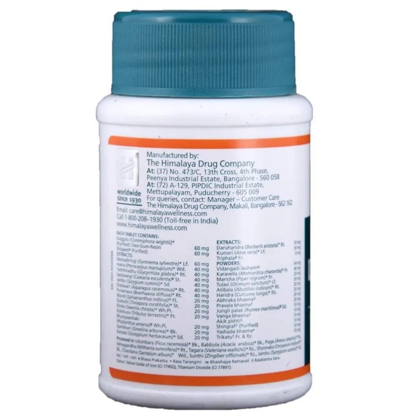 Himalaya Herbals Diabecon DS Tablets – 60 tabs image 3