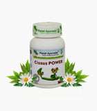 Planet Ayurveda Cissus Power Capsules - 60 tabs image 1