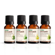 Vasu Aromatics Combo of Basil & Peppermint & Lemon & Lemongrass Essential Oil - 40 ml image 1
