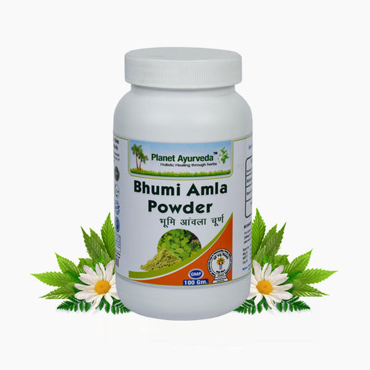 Planet Ayurveda Bhumi Amla Powder - 100g - Supports Liver & Skin Health image 1