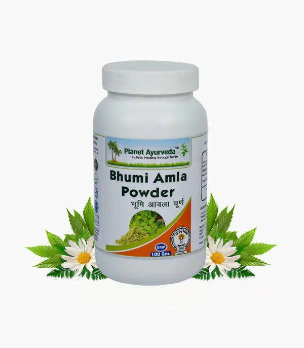 Planet Ayurveda Bhumi Amla Powder - 100g - Supports Liver & Skin Health image 2