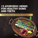 Himalaya Ayurveda Gum Care Toothpaste image 5