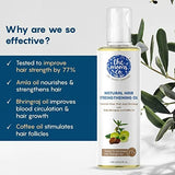 The Moms Co Natural Anti-Hair Fall Complete Care Kit image 5