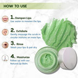 The Moms Co Natural Exfoliating Lip Scrub image 7