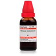 Dr. Willmar Schwabe India Ocimum Gratissimum Mother Tincture Q image 1