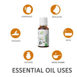 Ae Naturals Jasmine Essential Oil image 4