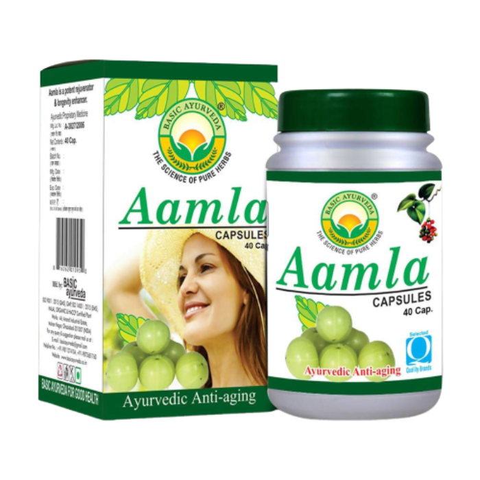 Basic Ayurveda Aamla Capsules - 40 Capsules image 1