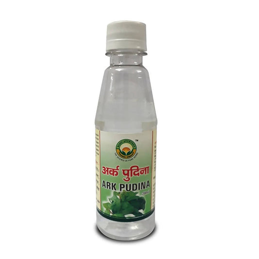 Basic Ayurveda Ark Pudina - 200 ml image 1
