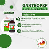 Allen Homeopathy Gastropep Tonic (Sugar Free) image 2