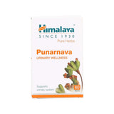 Himalaya Pure Herbs Punarnava Urinary Wellness - 60tabs image 3