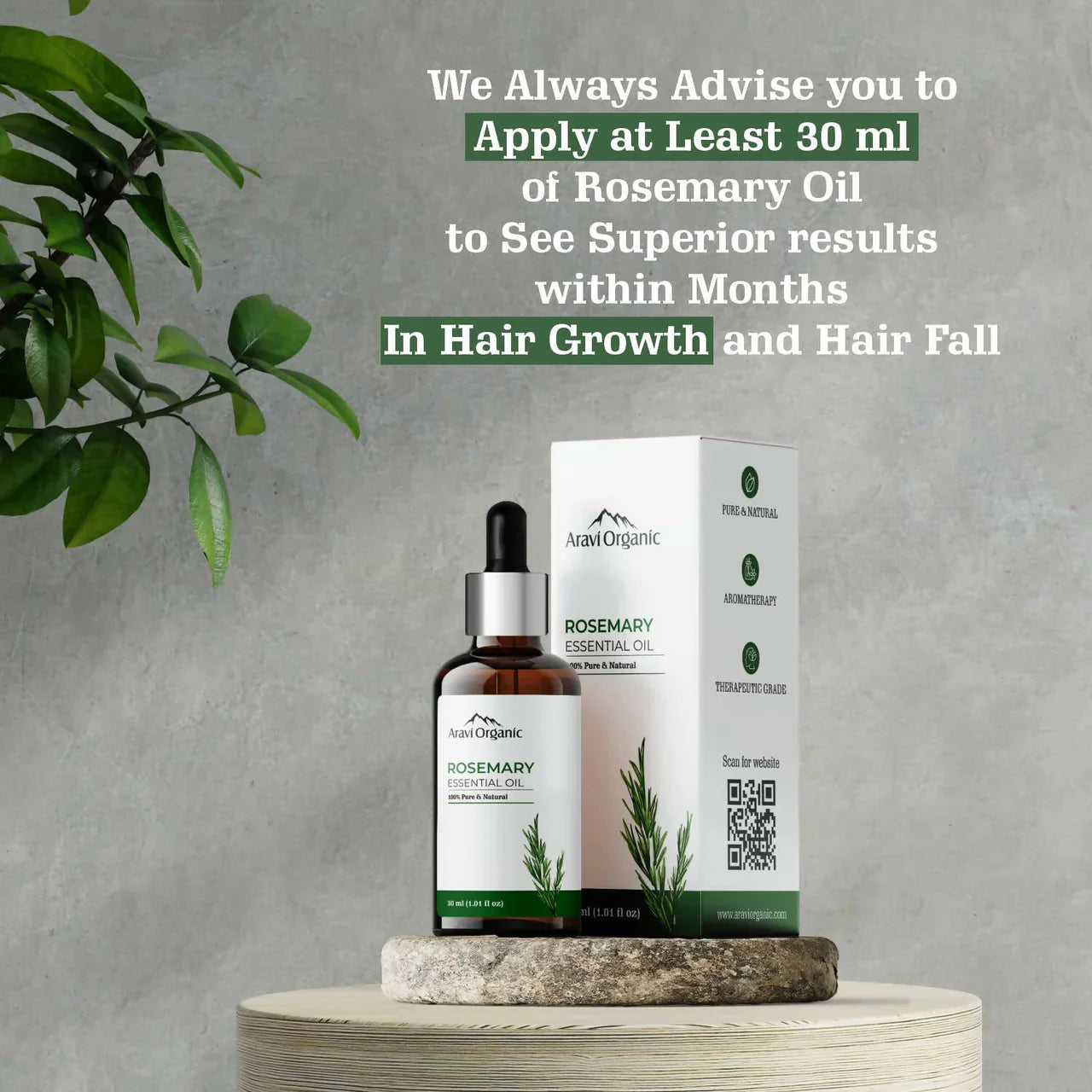 Aravi Organic Rosemary Essential Oil for Hair Growth, Anti Hair Fall -30 ml image 3