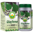 Basic Ayurveda Giloy Power Capsules - 40 Tablets image 1