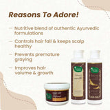 Mother Sparsh The Ultimate Hair Care Trio - Combo Pack image 2