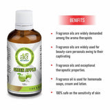 Ae Naturals Green Apple Fragrance Oil image 3