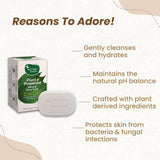 Mother Sparsh Plant Powered Natural Baby Soap image 3