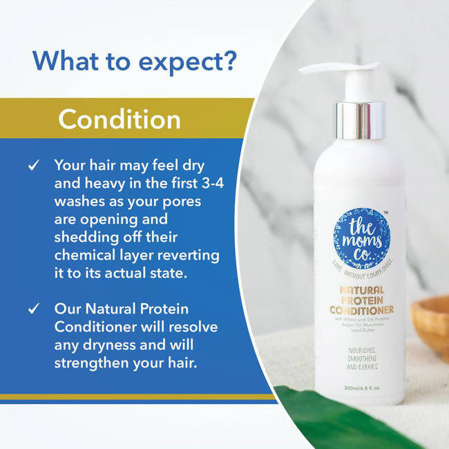 The Moms Co Natural Protein Hair Care Bundle image 7