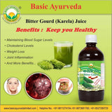 Basic Ayurveda Bitter Gourd Juice image 2