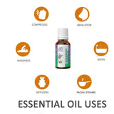 Ae Naturals Rosemary Essential Oil image 4