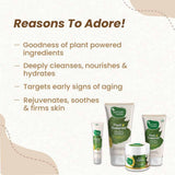 Mother Sparsh A Gift From Nature For Your Daily Face Care Combo image 3