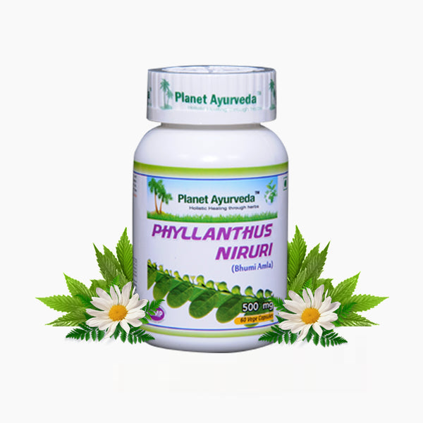 Planet Ayurveda Phyllanthus Niruri Capsules - 60 tabs image 1