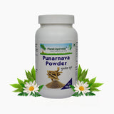 Planet Ayurveda Punarnava Powder - 100 gms image 1