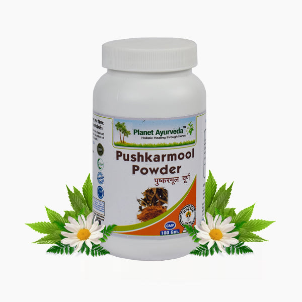Planet Ayurveda Pushkarmool Powder - 100 gms image 1
