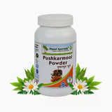 Planet Ayurveda Pushkarmool Powder - 100 gms image 1