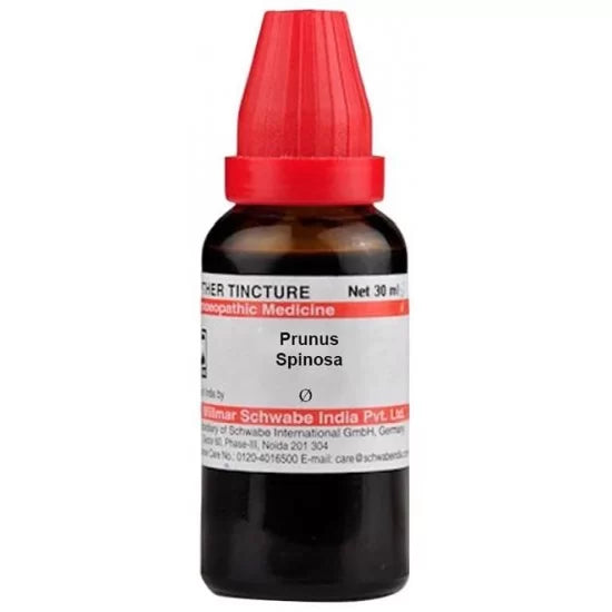 Dr. Willmar Schwabe India Prunus Spinosa Mother Tincture image 1