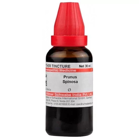Dr. Willmar Schwabe India Prunus Spinosa Mother Tincture image 1