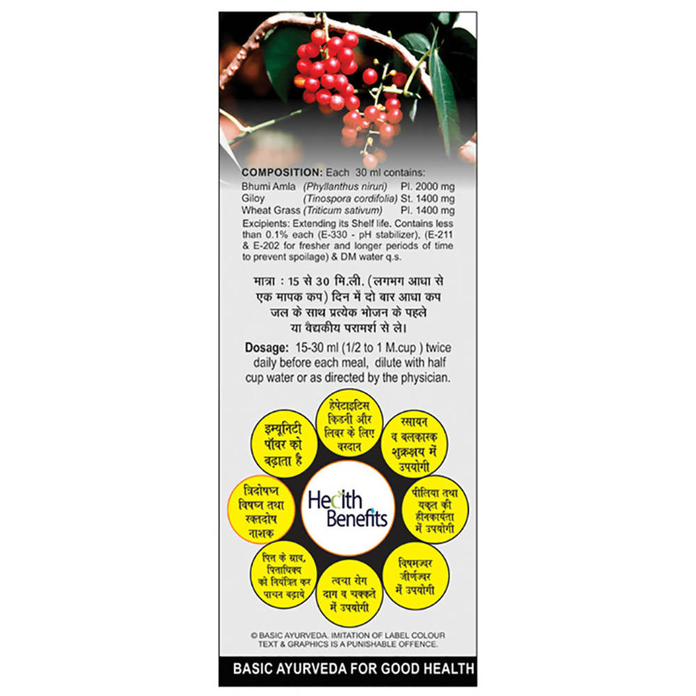 Basic Ayurveda Bhumi Amla & Giloy Mix Juice - 450 ml image 2