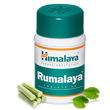 Himalaya Herbals Rumalaya Tablets - 60 tabs image 1