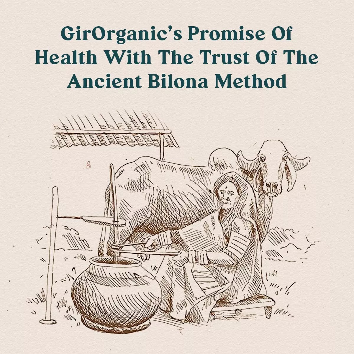GirOrganic A2 Pure Ghee - 500ml image 5
