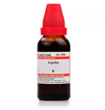 Dr. Willmar Schwabe India Lupulus Mother Tincture Q – 30ml | Herbal Homeopathy Formula image 1