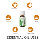 Ae Naturals Peppermint Essential Oil image 3